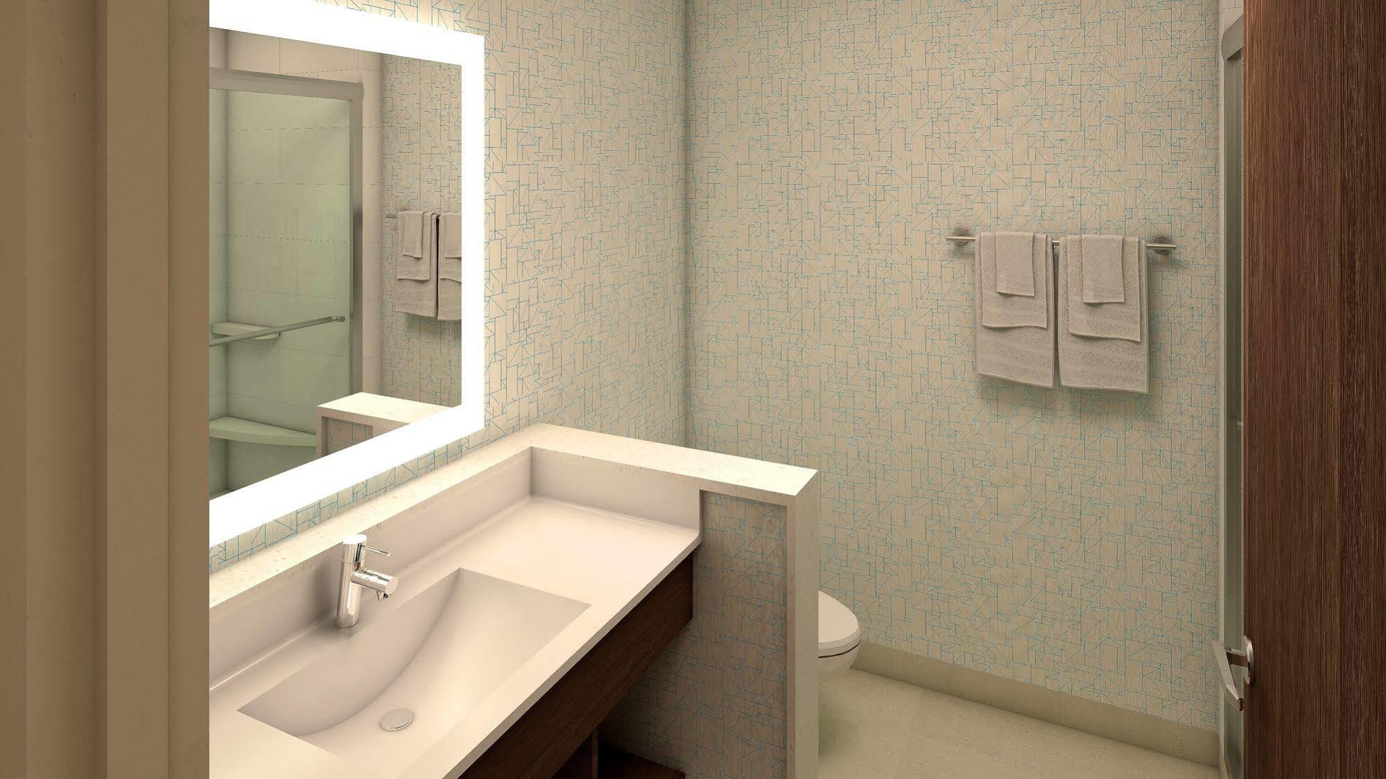 Holiday Inn Express & Suites Okemos - University Area By Ihg Dış mekan fotoğraf